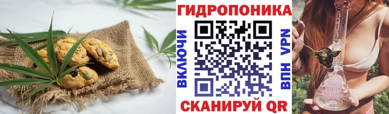 мега рабочий сайт  закладка  Старая Купавна  Cannafood марихуана 
