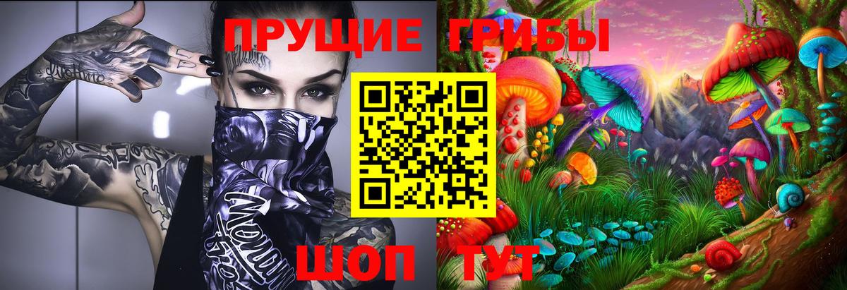 Псилоцибиновые грибы мицелий Старая Купавна
